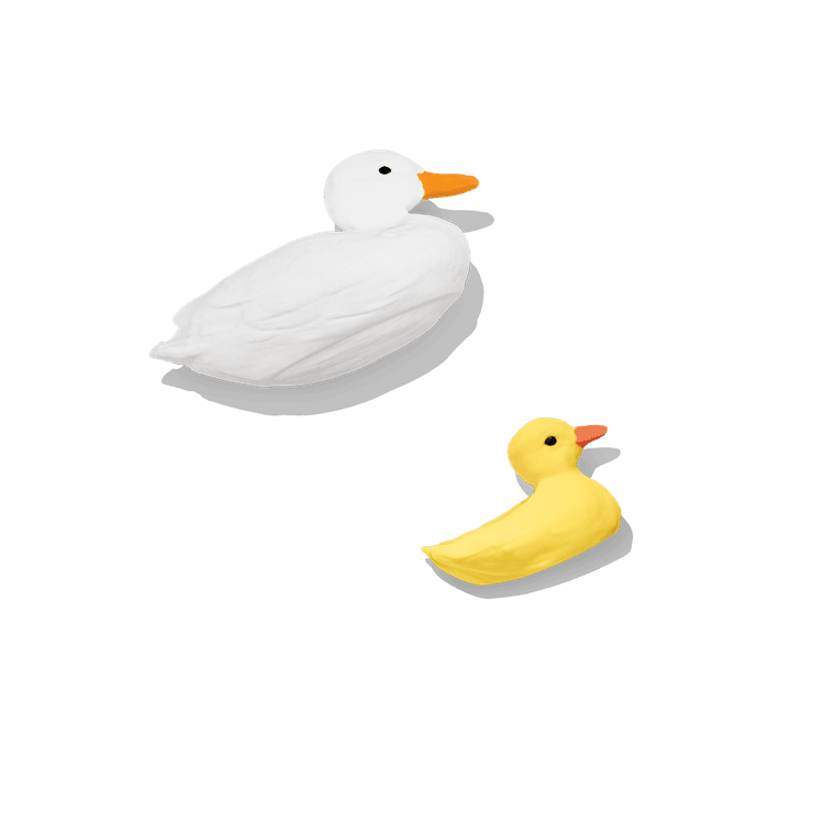 Big & Little Ducks